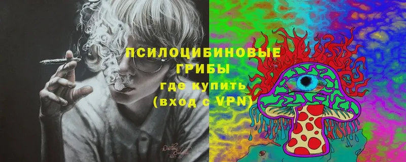 OMG ТОР  Карачаевск  Псилоцибиновые грибы мухоморы 