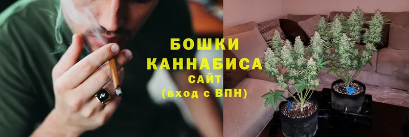 Бошки Шишки SATIVA & INDICA  OMG   Карачаевск  где продают  